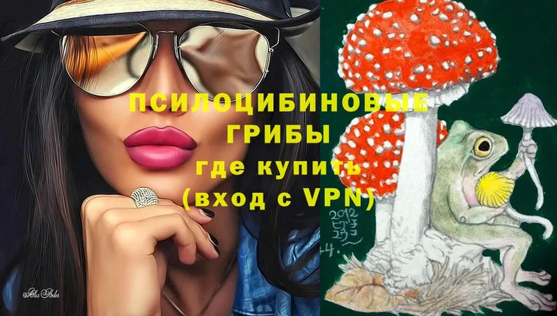 Псилоцибиновые грибы прущие грибы  omg как войти  Моздок 